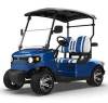 Electric Golf Buggy for Sale