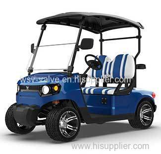 Electric Golf Buggy for Sale