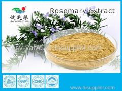 NATURAL HERBAL EXTRACT WHOLESALE POWDER