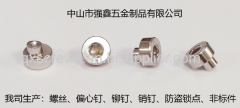 stainless steel eccentric pin