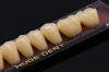 KAIPLUS Synthetic Polymer Teeth