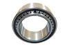 Toroidal Roller Bearing 2024