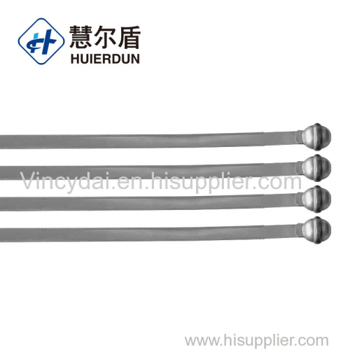 tamper proof container metal strap seal