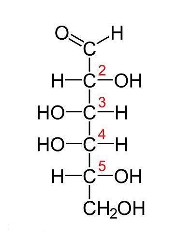 D-Galactose CAS:59-23-4 animal free plant origin