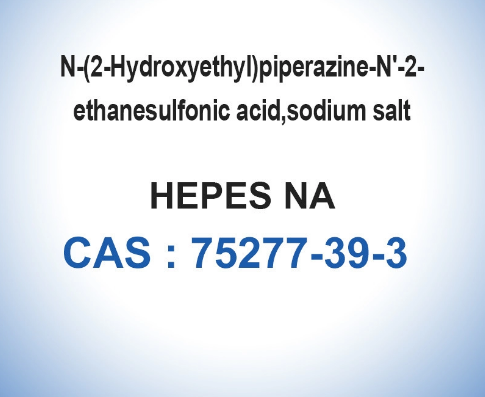 HEPES Sodium CAS 75277-39-3 White Biochemical Reagents