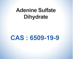 99% Adenine Sulfate Dihydrate CAS 6509-19-9