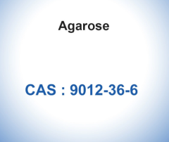 CAS 9012-36-6 Agarose Biochemical Glycoside BioReagent