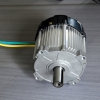 electric lawn mower motor