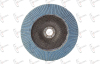 7 Inch (180mm) Flap Disc