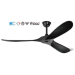 Wood Ceiling fan remote control ceiling fan