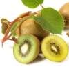 Kiwi Fruit Powder Extract 10:1 20:1