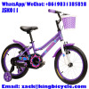 kids bicycle 12inch 16inch 18inch 20inch bike BICYCLE