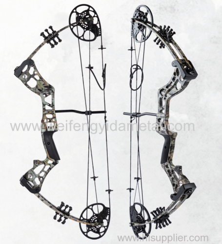 15-30 LBS Recommended Ages 8-12 Compound Bow Lightweight Durable Archery Bow Target Shooting Compound Bow