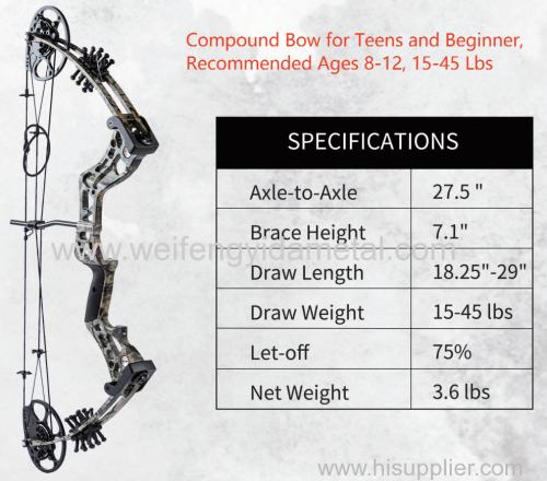 15-30 LBS Recommended Ages 8-12 Compound Bow Lightweight Durable Archery Bow Target Shooting Compound Bow