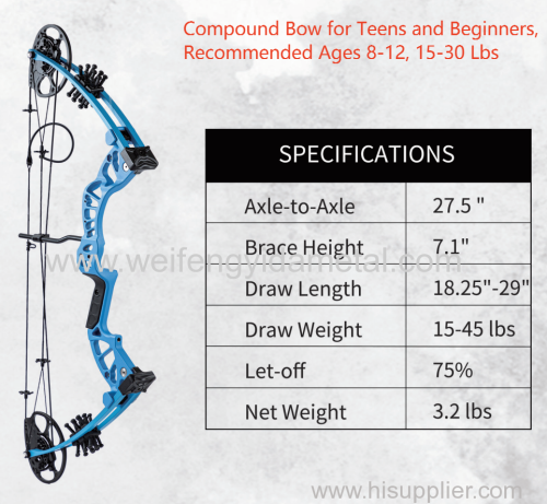 15-30 LBS Recommended Ages 8-12 Compound Bow Lightweight Durable Archery Bow Target Shooting Compound Bow