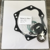 Eaton-Vickers PVE19/PVE21 hydraulic pump seal kit replacement