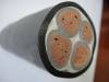 0.6/1kv power cable multi core N2XSY