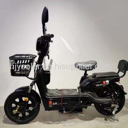 New Energy Electric Bicycle