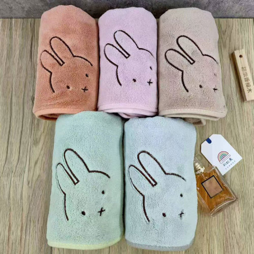 Coral Velvet Towel