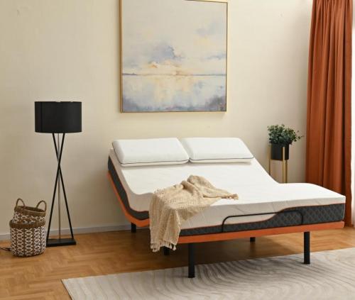 Adjustable bed base head and foot control wired remote with German okin motors in beds