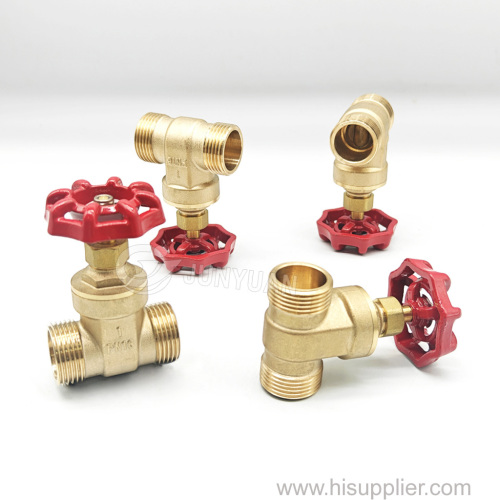Customizable BSPT 1" Red Iron Handwheel Brass Stem Control Water Pipe 2 Way Dn25 Male Threaded Brass Gate Valve