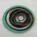 MCR5 hydraulic motor seal kit