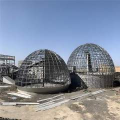 Custom Geodesic Dome Steel Structure