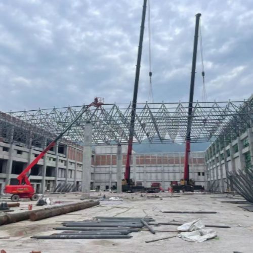 Customizable Steel Space Frame for Industrial Plants