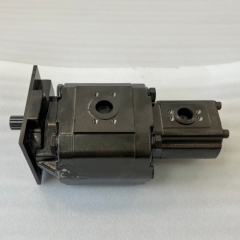High quality PHS 3060 GN222 AAL gear pump made in China