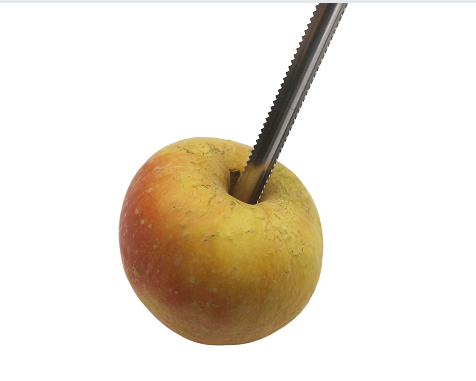 S/S Vegetable Corer with Wood Handle