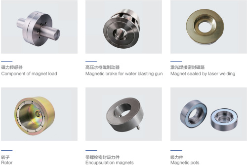 magnetic assemblies with customized