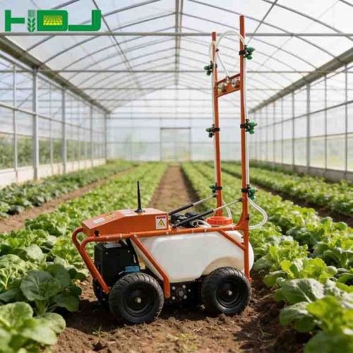 3WYP-50B Remote-Controlled Agricultural Sprayer | 50L