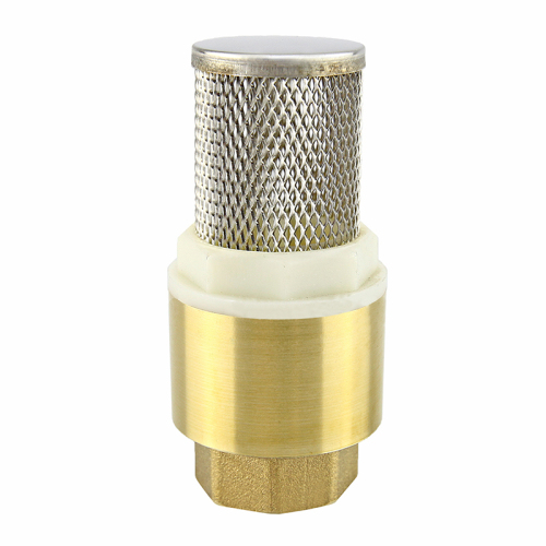 Brass Spring Check Valve
