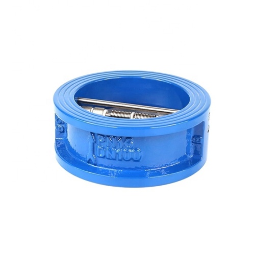 Cast Iron Double Disc Wafer Type Check Valve
