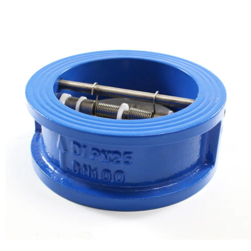 Cast Iron Double Disc Wafer Type Check Valve