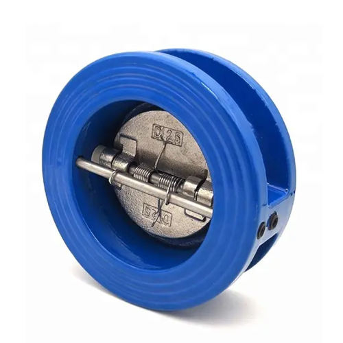 Cast Iron Double Disc Wafer Type Check Valve