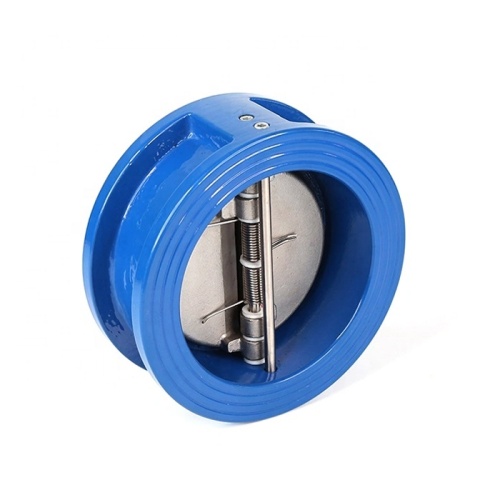 Pn16 Dn100 Ductile Iron Spring Loaded Dual Disc Wafer Check Valves