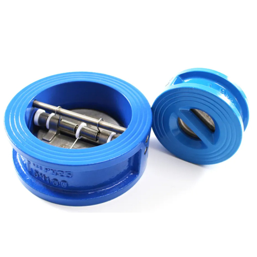Pn16 Dn100 Ductile Iron Spring Loaded Dual Disc Wafer Check Valves
