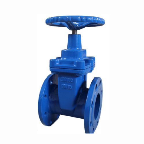 EN 1074-2 Resilient Seated Gate Valve GGG50 Ductile Iron EPDM Encapsulated Wedge DN50-DN600 PN16 Flanged to EN 1092-2