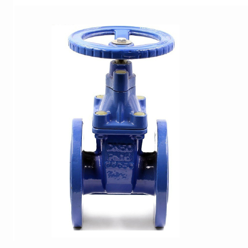 EN 1074-2 Resilient Seated Gate Valve GGG50 Ductile Iron EPDM Encapsulated Wedge DN50-DN600 PN16 Flanged to EN 1092-2