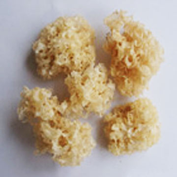 Dried White Fungus