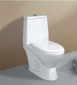 Washdown Separated Toilet