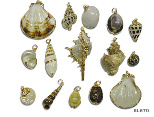 Shell Jewelrys