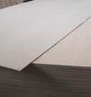 Commercial Birch  Plywood