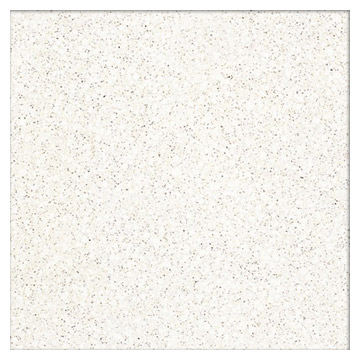 Large Particle Tiles