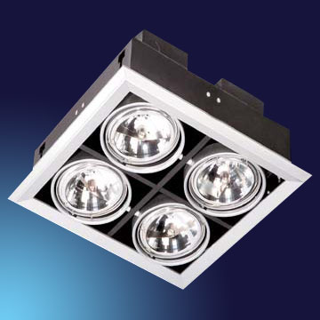 Adjustable Down Light