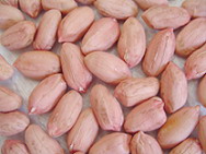 peanut kernels Virginia type
