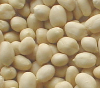 blanched peanut round type