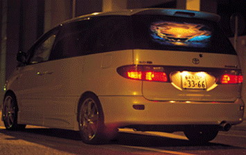 Car (Auto) Rear Window 3D Holograms