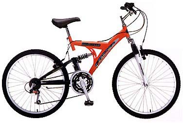 Adult Bicycles (WM2402)